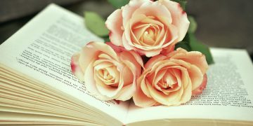 a book, book pages, read