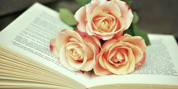 a book, book pages, read