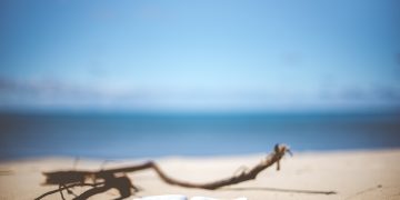 beach, book, reading