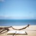 beach, book, reading