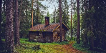 log cabin, cottage, house