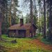 log cabin, cottage, house