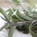 sage, herb, food