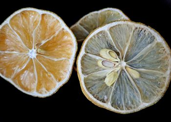 fruit, lemons, citrus