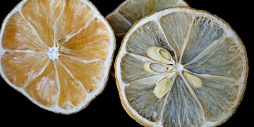 fruit, lemons, citrus