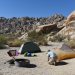 The Benefits of Camping for Team Building